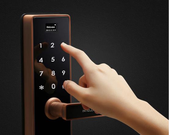 產(chǎn)品力比拼  德施曼對比掌門之星（圖）_1