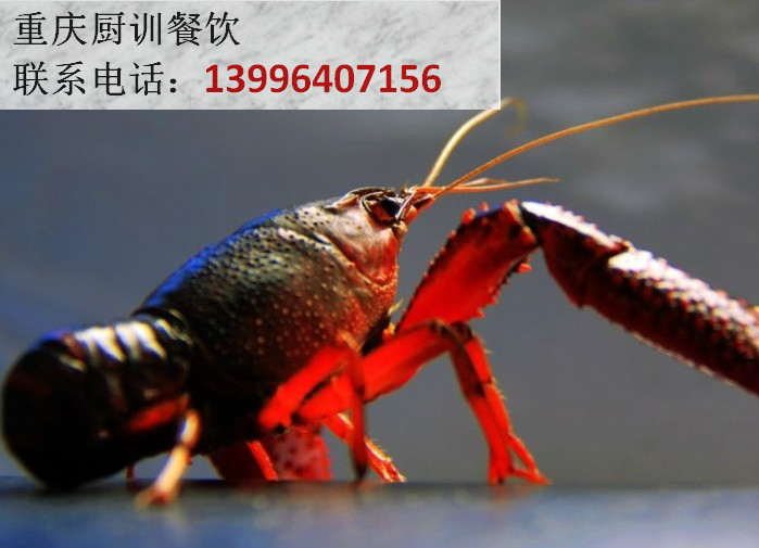 重慶特色小龍蝦培訓(xùn)哪家好（圖）_1