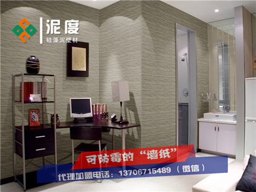 浙江紹興硅藻泥多少錢一平米？硅藻泥廠家批發(fā)（圖）_2