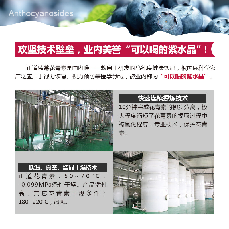 藍莓中的花青素讓您遠離血管疾病_7