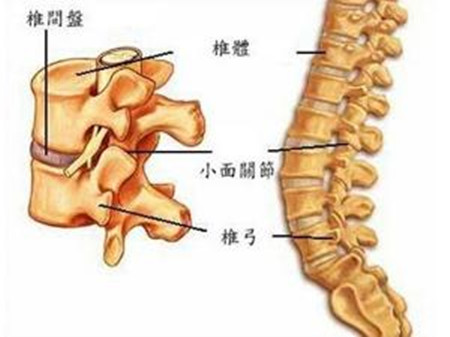 腰椎间盘突出有效的自我改善方法_1