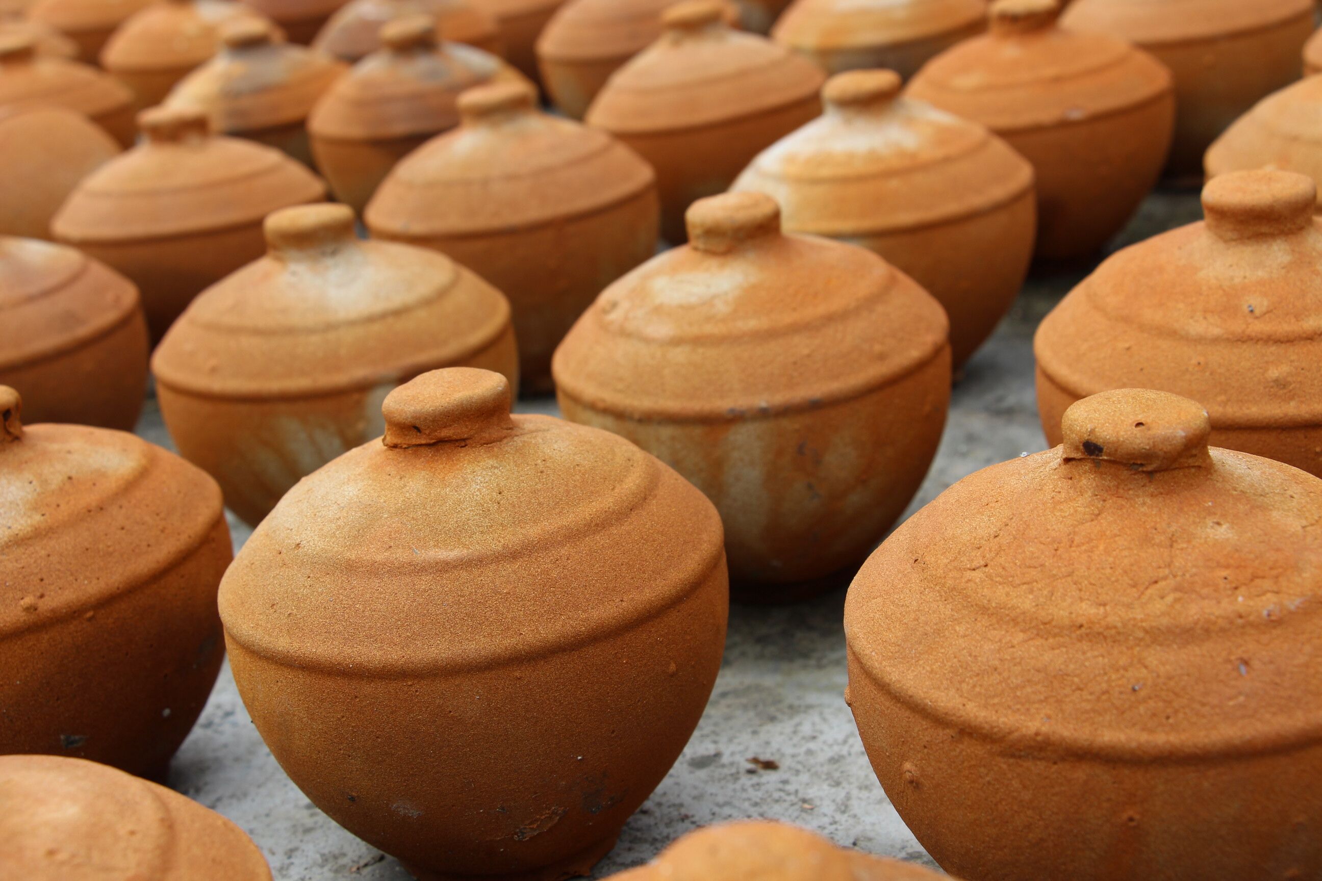 窖泥封壇酒都含有什么物質(zhì)？_1