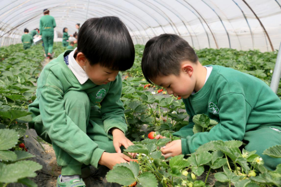 家長，你為孩子選擇了什么樣的教育？（圖）_2