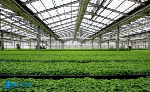     2017第七届爱博·中国（安徽）节水灌溉与温室园艺展览会_3
