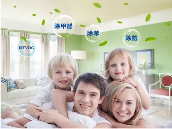 碧海金貝貝殼粉涂料—適合嬰兒房裝修的新型材料_1