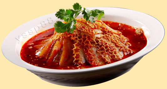 哪里有學(xué)做夫妻肺片（圖）_2