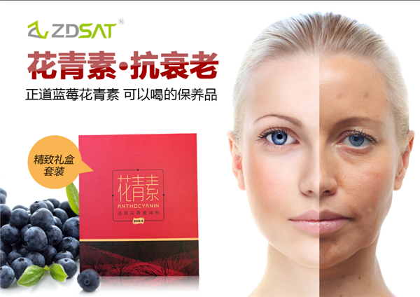 藍莓花青素營養(yǎng)成份百分百提純自藍莓_4