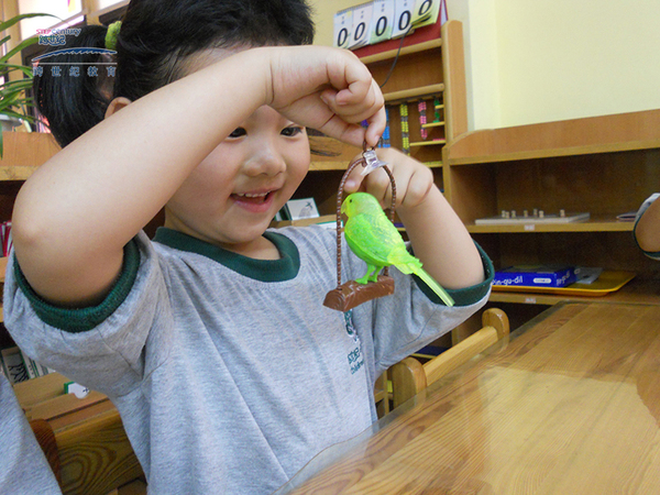 幼教市場轉(zhuǎn)變升級，幼兒園加盟成“風”（圖）_3