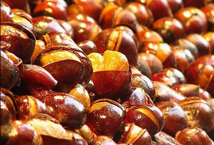 糖炒板栗加盟項(xiàng)目介紹_1