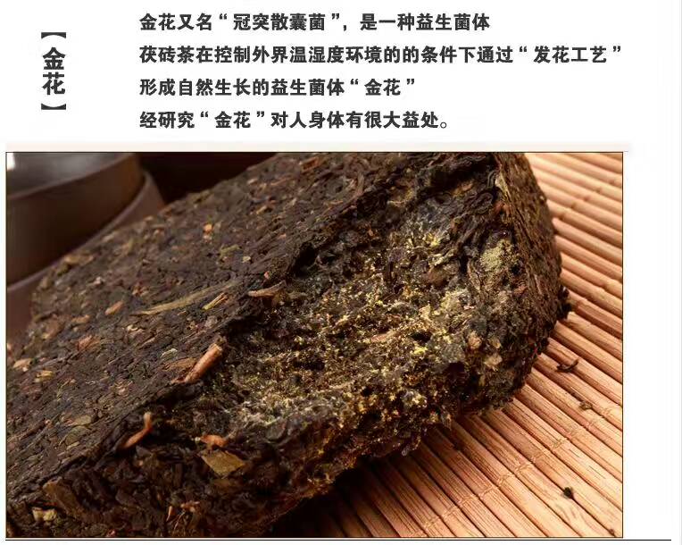 泾盛裕茯茶全国招商_4