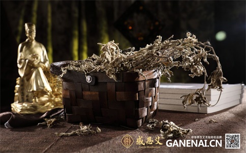 艾灸養(yǎng)生館產(chǎn)品代理加盟批發(fā)供應(yīng),養(yǎng)生館加盟支持著名品牌產(chǎn)品感恩艾艾灸貼_3