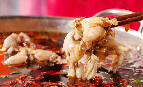 鼎味美蛙魚(yú)頭加盟電話_3