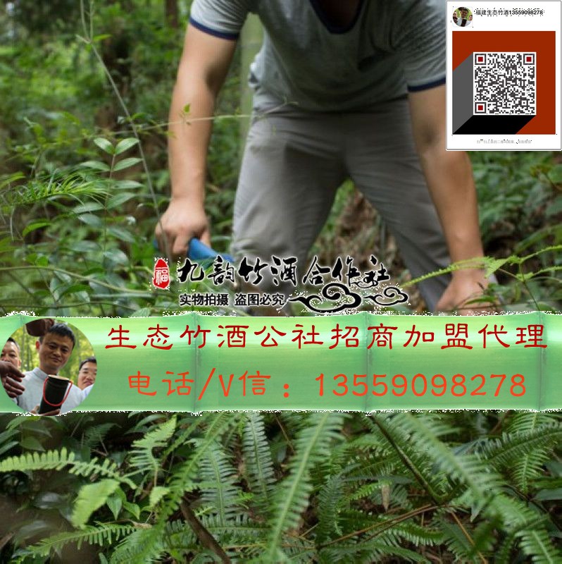 湖南竹筒酒——湖南特產正品原生態(tài)竹子竹筒酒500ml活竹酒（圖）_1