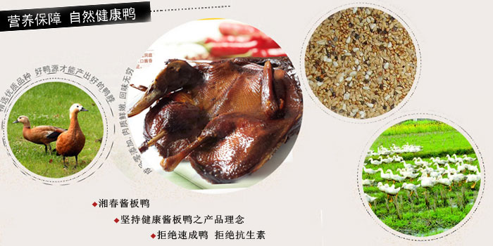 湖南哪有醬板鴨批發(fā)_1