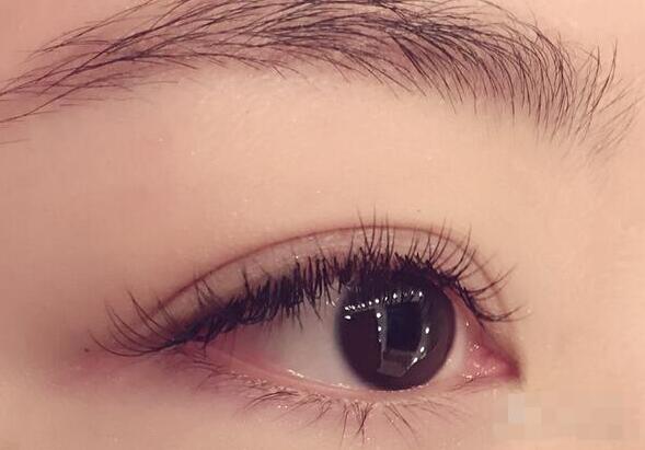 美睫加盟如何考察品牌？（圖）_1