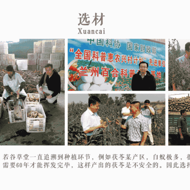 粗糧養(yǎng)生店加盟食材哪家好？（圖）_1