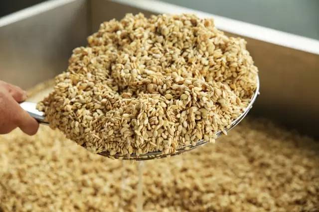 粗糧養(yǎng)生店加盟食材哪家好？（圖）_6