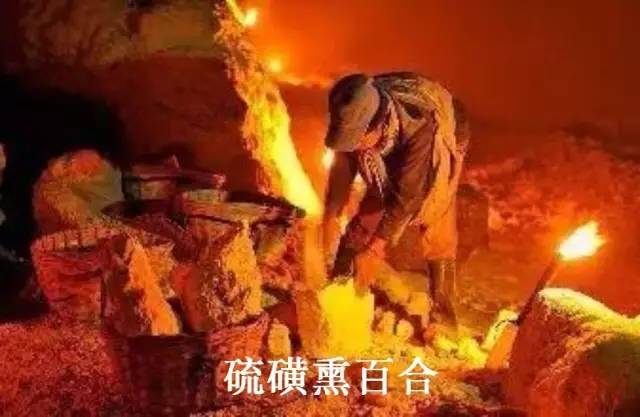 粗糧養(yǎng)生店加盟食材哪家好？（圖）_13