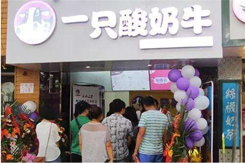 一只酸奶牛加盟費(fèi)多少？詳細(xì)費(fèi)用內(nèi)容分析!（圖）_3