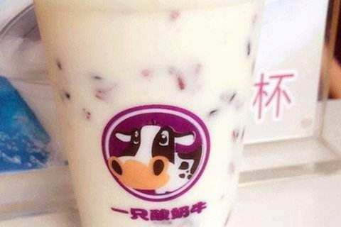 一只酸奶?？偛吭谀陌?？一只酸奶牛加盟怎么樣？（圖）_1