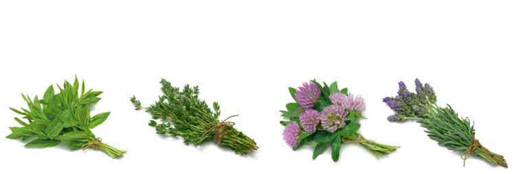 改善骨質(zhì)增生的根除方法誰(shuí)知道？_3