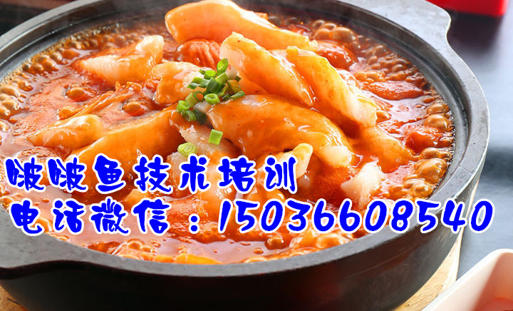 啵啵魚(yú)技術(shù)培訓(xùn)加盟(圖)_1