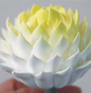 江西哪里可以學(xué)奶油裱花（圖）_3