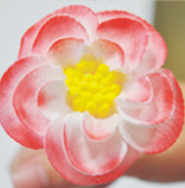 江西哪里可以學(xué)奶油裱花（圖）_4