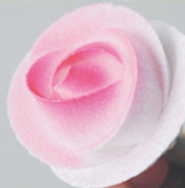 江西哪里可以學(xué)奶油裱花（圖）_5