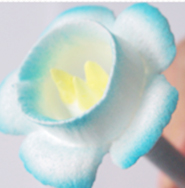 江西哪里可以學(xué)奶油裱花（圖）_6