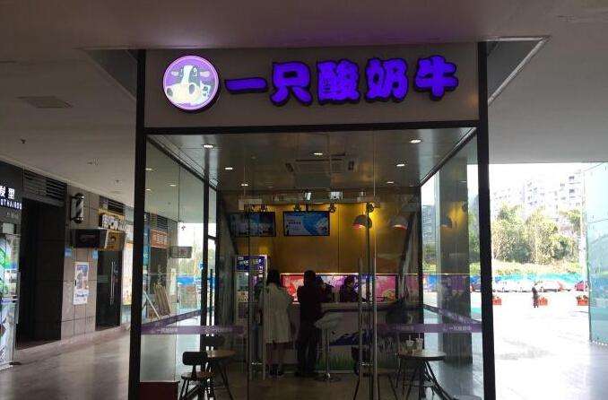 一只酸奶牛在縣城加盟開(kāi)店可以嗎？（圖）_2