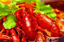 岳陽華容口味龍蝦全套培訓（圖）_15