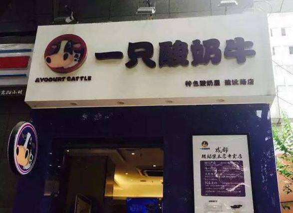 一只酸奶牛加盟流程是怎樣的？_2