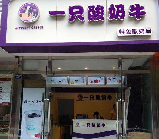 一只酸奶牛很難加盟嗎？一只酸奶牛有些什么加盟條件（圖）_1