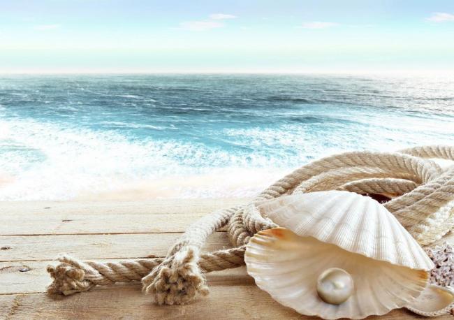 深度解析:為什么碧海金貝貝殼粉加盟項目如此火爆？（圖）_2