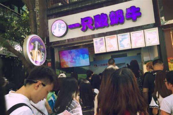 全面分析一只酸奶牛市場(chǎng)情況_4