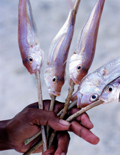 你只知道腰間盤突出了卻不知道自己平時不斷讓他加重（圖）_4