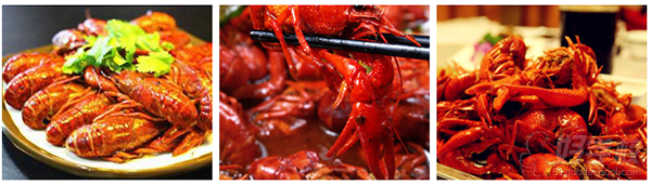 長(zhǎng)沙特色口味蝦培訓(xùn)（圖）_1
