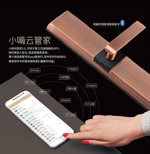 德施曼打“三張王牌”成就指紋鎖行業(yè)新標(biāo)桿_2