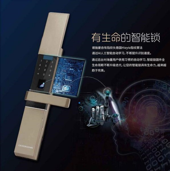 德施曼打“三張王牌”成就指紋鎖行業(yè)新標(biāo)桿_3