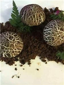 在哪有學做點心培訓，在哪有學做點心（圖）_2