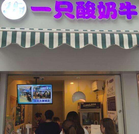 一只酸奶牛加盟會盈利嗎？（圖）_2