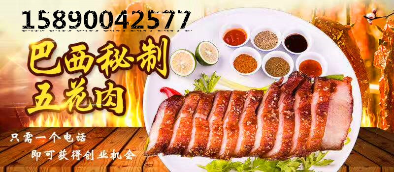 環(huán)保氣電兩用烤五花肉爐子哪里有多少錢（圖）_4