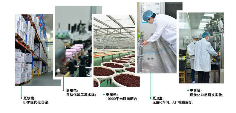 華味亨休閑食品投資分析_1