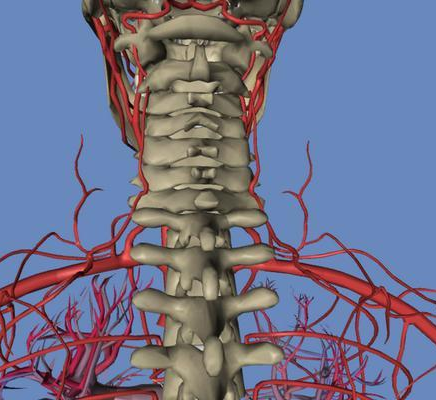 當(dāng)心了，胸痛胸悶還有可能是因?yàn)檫@個病?。▓D）_3