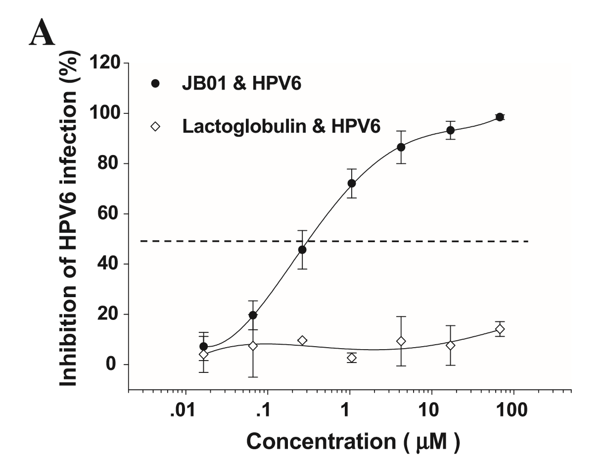 金波?抗HPV生物蛋白敷料-应用于HPV的基础研究论文_1