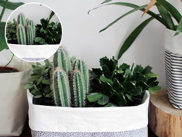 優(yōu)加手作布藝DIY，玩轉(zhuǎn)手中萌物_2