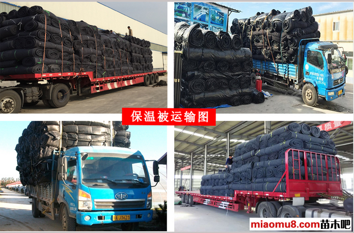 烏海大棚保溫被生產(chǎn)廠家(圖)_3