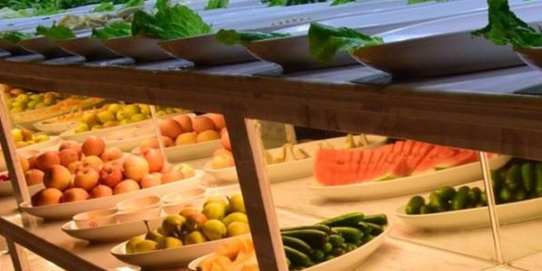 鍋秀自助火鍋加盟費(fèi)用多少（圖）_2