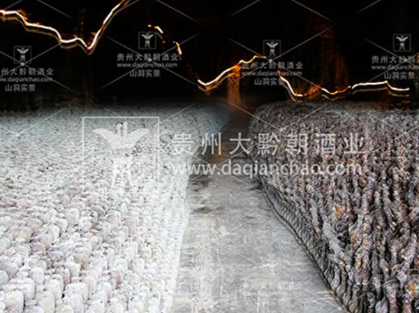 貴州洞藏老酒5年洞藏（圖）_2